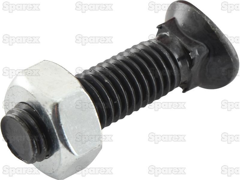 Oval Head Bolt Square Collar With Nut (TOCC) - M12 x 60mm, Tensile strength 8.8 (10 pcs. Agripak)